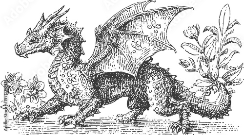Medieval dragon illustration with wings and scales, fantasy creature in vintage drawing