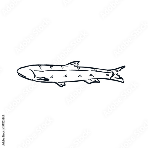 Fish Anchovy Handdrawn Sketch Logo Vector Illustration