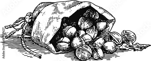 Hand drawn illustration of spilled hazelnuts in a rustic sack on a white background