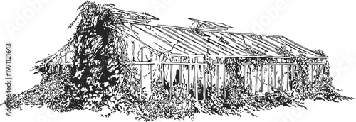 Old abandoned greenhouse covered with ivy and plants, rustic garden structure sketch