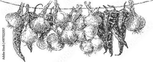 Hanging garlic bulbs and dried chili peppers rustic food preservation and kitchen decoration with organic natural spices and vegetables