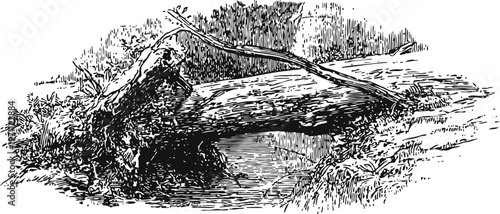 fallen tree trunk with broken limbs lying in natural forest setting, detailed vintage woodcut illustration