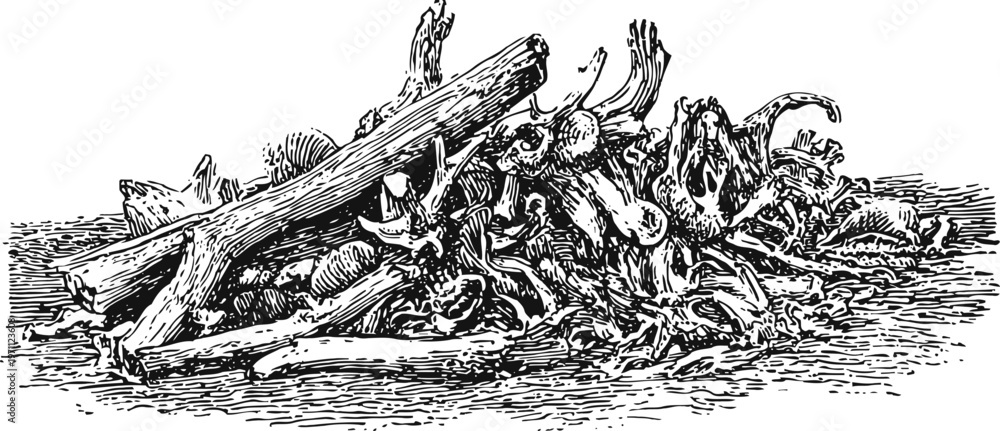 Fototapeta premium Pile of driftwood and tree branches lying on a rough surface detailed black and white engraving illustration