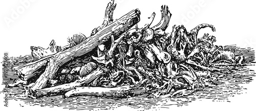 Pile of driftwood and tree branches lying on a rough surface detailed black and white engraving illustration