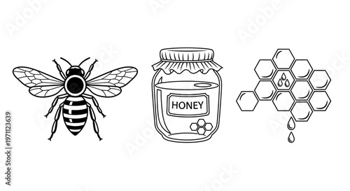 Hand drawn outline icons of bee, honey jar, and honeycomb. Sweet natural food elements, beekeeping, organic dessert illustration.