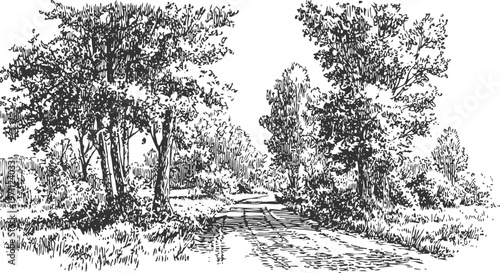 Black and white rural landscape sketch with trees and a country road in nature scene