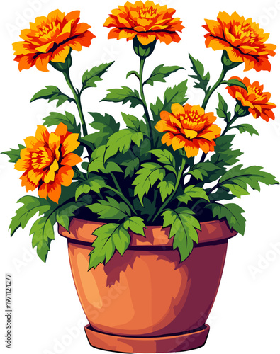 Marigold flowers in clay pot with lush green leaves, vibrant botanical illustration of potted plant