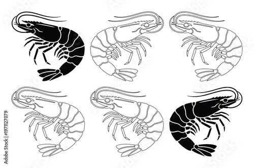 新鮮なエビのベクターイラストセット、白黒のシルエットと線画で表現された海の幸、食品デザインや水産物関連プロジェクトに最適なグラフィック素材