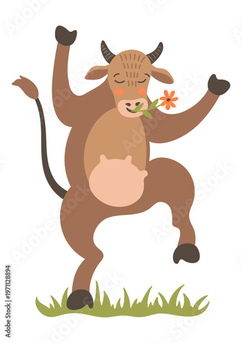 Cute dancing brown cow. Fun domestic animal.