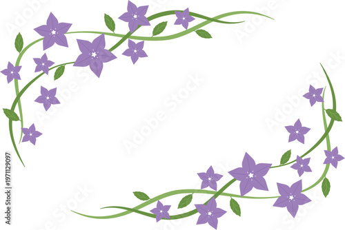 キキョウのフレーム