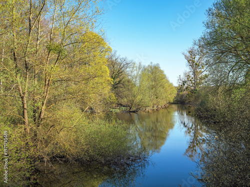 Frühling in Naturschutzgebiet Hördter Rheinauen, Treidlerweg, Hördt, Rheinland-Pfalz, Deutschland