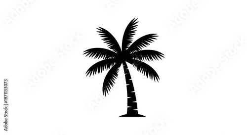Silhouette of a palm tree on a white background ideal for design