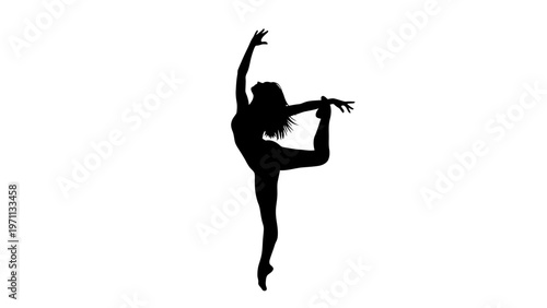Silhouette of female ballet dancer posing.