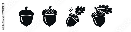 Acorn icon set. oak nut, harvest, seed, leaf, bold silhouette emblems for nature and autumn. line, flat and colored vector icon set.