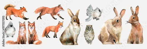 Watercolor animals: foxes, rabbits, owl, and birds. Foxes and rabbits in various poses. Birds and owl add charm. Nature-themed, artistic wildlife illustration. Isolated animal vector set.