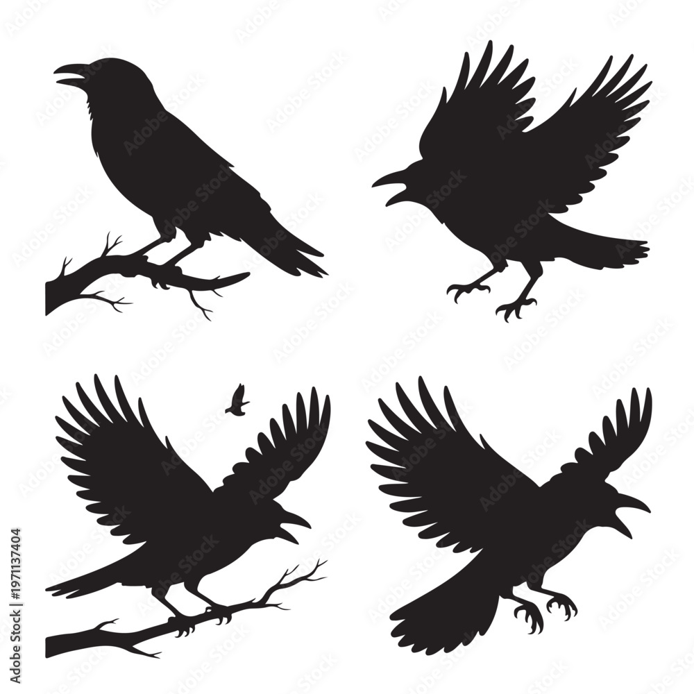 Fototapeta premium set of crow silhouettes