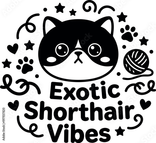 Black and white exotic shorthair cat face with ball of yarn and decorative swirls vector art
