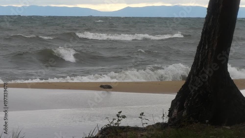  Storm on the shore of lake Baikal on a cloudy windy autumn day.