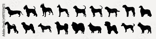 Silhouettes of various dog breeds vector set
