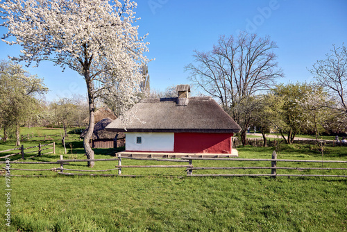 А Thatched cottage in a blooming garden