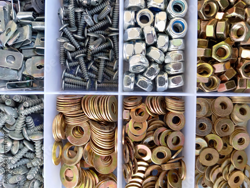 Tableau sur toile A variety of metal fasteners are neatly arranged in a compartment box, including screws, bolts, nuts, and washers in various sizes and types