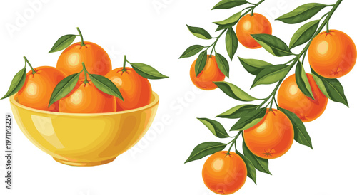 Fresh Orange Fruits in Bowl and on Tree Branch with Leaves Detailed Citrus Food Flat Vector Illustration Set