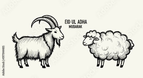 Hand-drawn vintage illustration of a male goat with long horns and a woolly domestic sheep, perfect for farm animal themes and rustic designs