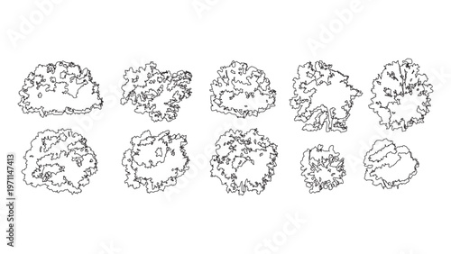 Set of top view tree symbols for landscape plan architecture design architectural drawing.