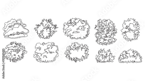 Architectural landscape bushes and shrubs top view set for site plan layout and rendering.