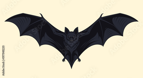 Detailed black bat with large spread wings flying in the night sky symbolizing spooky halloween themes or wild nature.