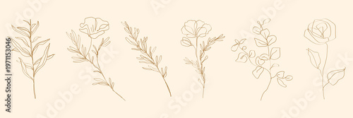 Elegant floral line art with delicate flowers and leaves. Simple floral designs in gold. Minimalist floral art for decor. Floral elegance in line art. Doodle illustrations, vector set.