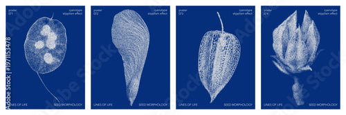 Cyanotype halftone overlay texture bg with leaves silhouettes. Vector soft blue wallpaper for template, graphic design projects, artworks.