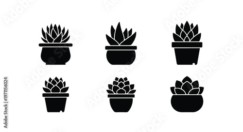 Set of 6 Black Succulent Pot Icons Vector