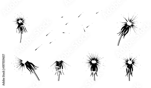 Dandelion blowball and floating seed vector set – flat style illustration