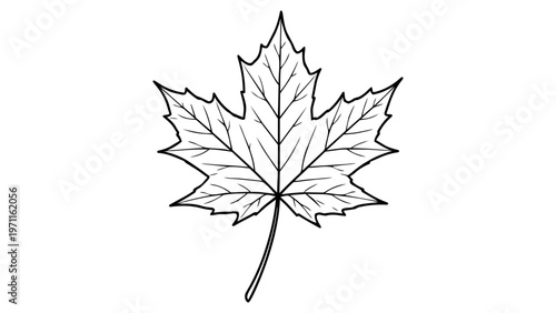 Detailed maple leaf black line vector icon, minimalist hand-drawn outline illustration on white background, scalable SVG graphic for nature, autumn, Canada, botanical, and fall season design themes.