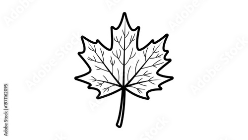 Minimalist black line vector illustration of a detailed maple leaf on a white background. This hand-drawn outline icon is perfect for autumn, nature, and Canadian-themed designs. Scalable SVG file.