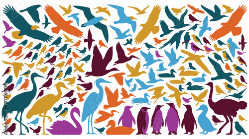 Diverse collection of birds in flight and standing poses.