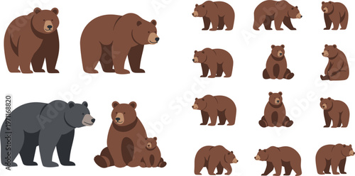 Bear cartoon collection vector illustration with different poses and styles, cute brown and black bears set for wildlife design, forest animals and kids themes