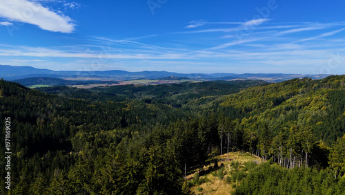 Drone view autumn view coniferous forest hills mountains USA.