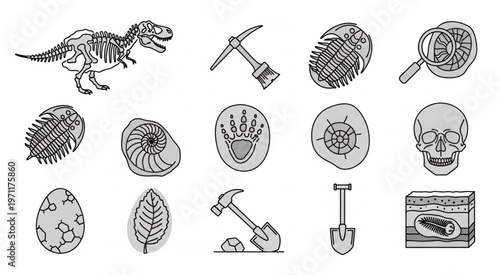 Collection of prehistoric fossils and dinosaur skeletons for scientific study and research.