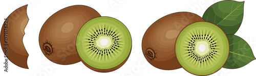 Kiwi fruit vector illustration with whole and sliced kiwi realistic tropical food elements collection for healthy eating design isolated on white background