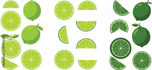Lime fruit vector set with whole sliced and wedges citrus collection for fresh food design drink ingredients and tropical illustration isolated on white