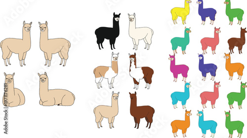 Llama alpaca vector set with different colors and poses cute farm animals collection for kids design cartoon illustration and livestock themes