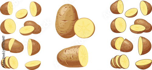 Potato collection vector set with whole and sliced potatoes realistic fresh vegetable illustration isolated on white background for food design