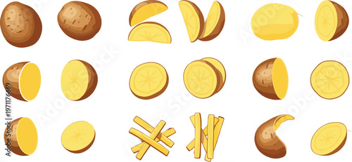 Potato food vector collection set with whole sliced wedges and fries pieces fresh vegetable illustration isolated on white background