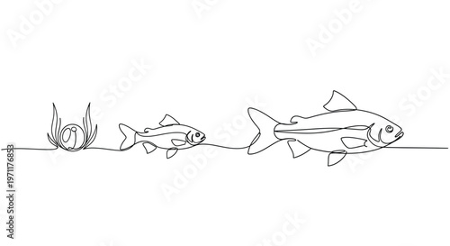 Two fish are swimming near seaweed underwater with one large fish.