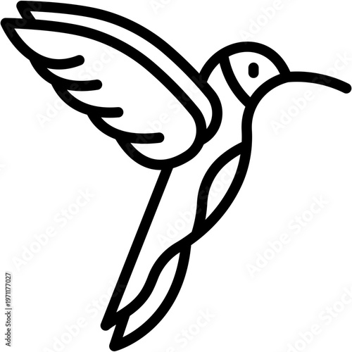 Colibri Bird in Wildlife, Animal Kingdom Vector Icon
