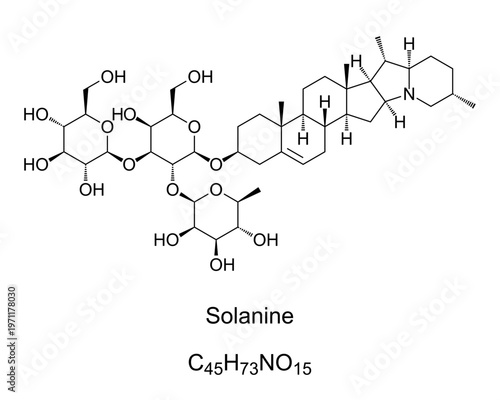 Solanine chemical formula. Glycoalkaloid poison found in potatoes, and in nightshade family within genus Solanum. Occur in leaves, fruit, and tubers, and is not rendered ineffective by cooking. Vector
