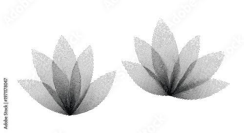 Two lotus flowers are depicted in a grayscale illustration from a side viewpoint.