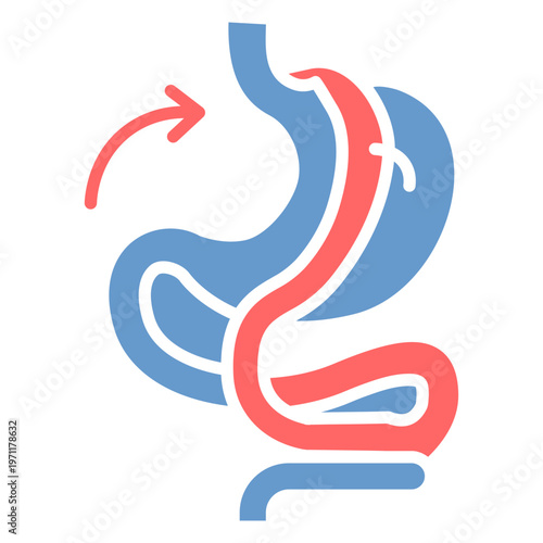 Gastric Bypass Vector Icon
